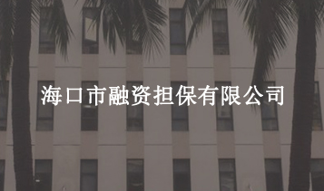 ?？谑腥谫Y擔(dān)保有限公司